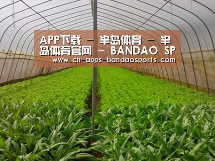 种植基地四