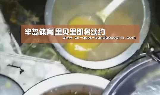 半岛体育|里贝里即将续约(图2) 半岛体育官网