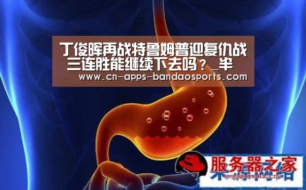 丁俊晖再战特鲁姆普迎复仇战 三连胜能继续下去吗?_半岛体育注册(图3) 半岛体育