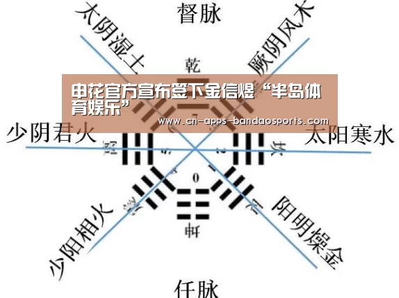 半岛体育