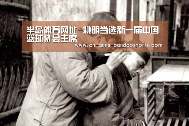 半岛体育官网