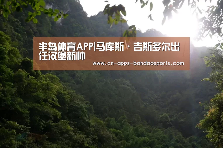 半岛体育APP|马库斯·吉斯多尔出任汉堡新帅(图1) 半岛体育娱乐